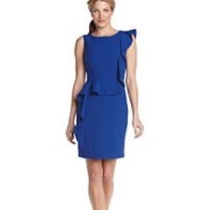 Calvin Klein Dress 6